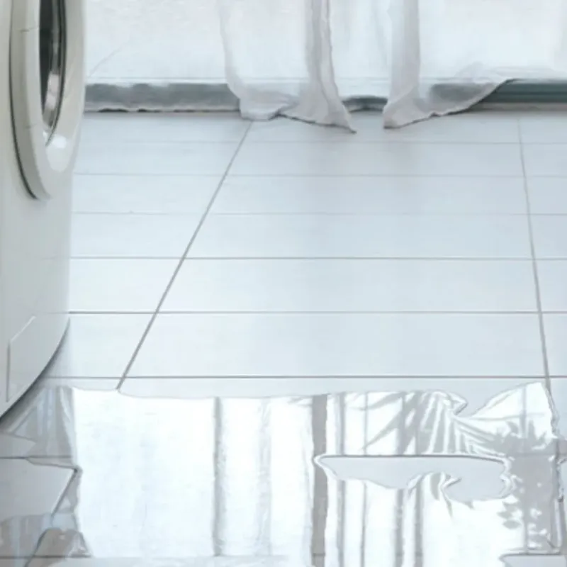 Appliance Leak Cleanup in Austin, IN