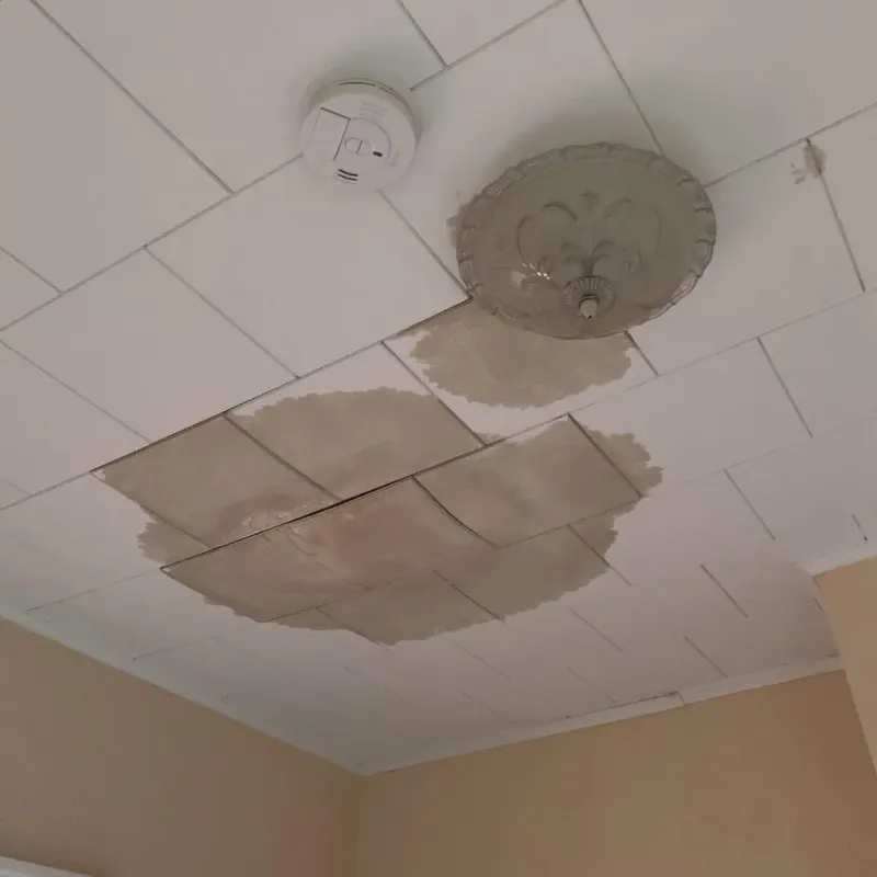 Ceiling Water Damage Repair in Austin, IN