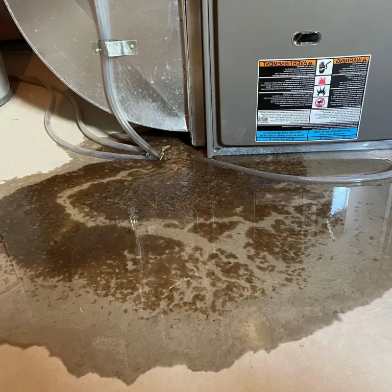 Pipe Burst and Leak Restoration in Austin, IN