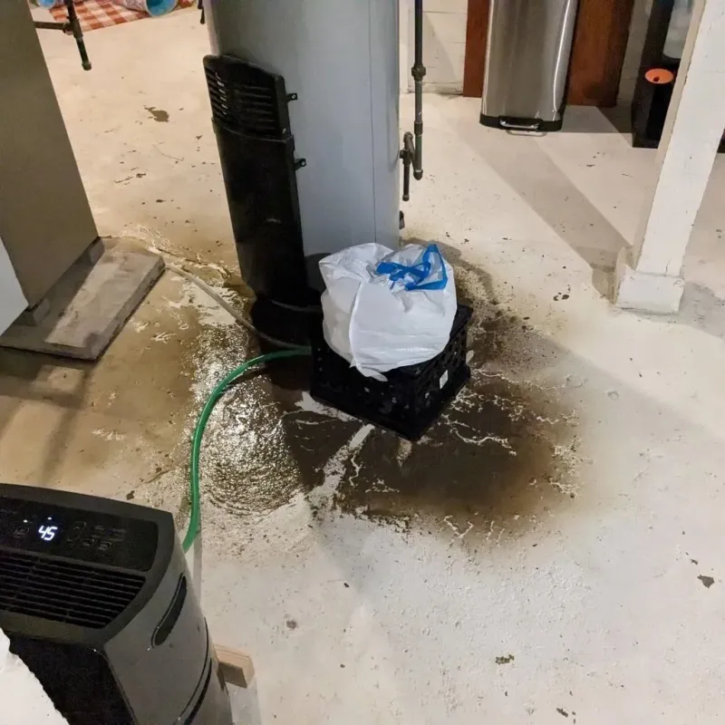Sewage Backup Cleanup Service in Austin, IN